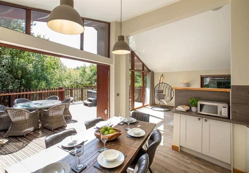 Inside the White Willow Premium 2 at Delamere Forest Lodges in Fordsham, Cheshire