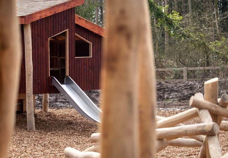 Playground at Delamere Forest Lodges in Fordsham, Cheshire