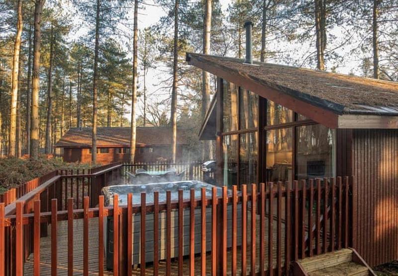 Relax in the outdoor hot tub in Golden Oak 4 at Delamere Forest Lodges in Fordsham, Cheshire