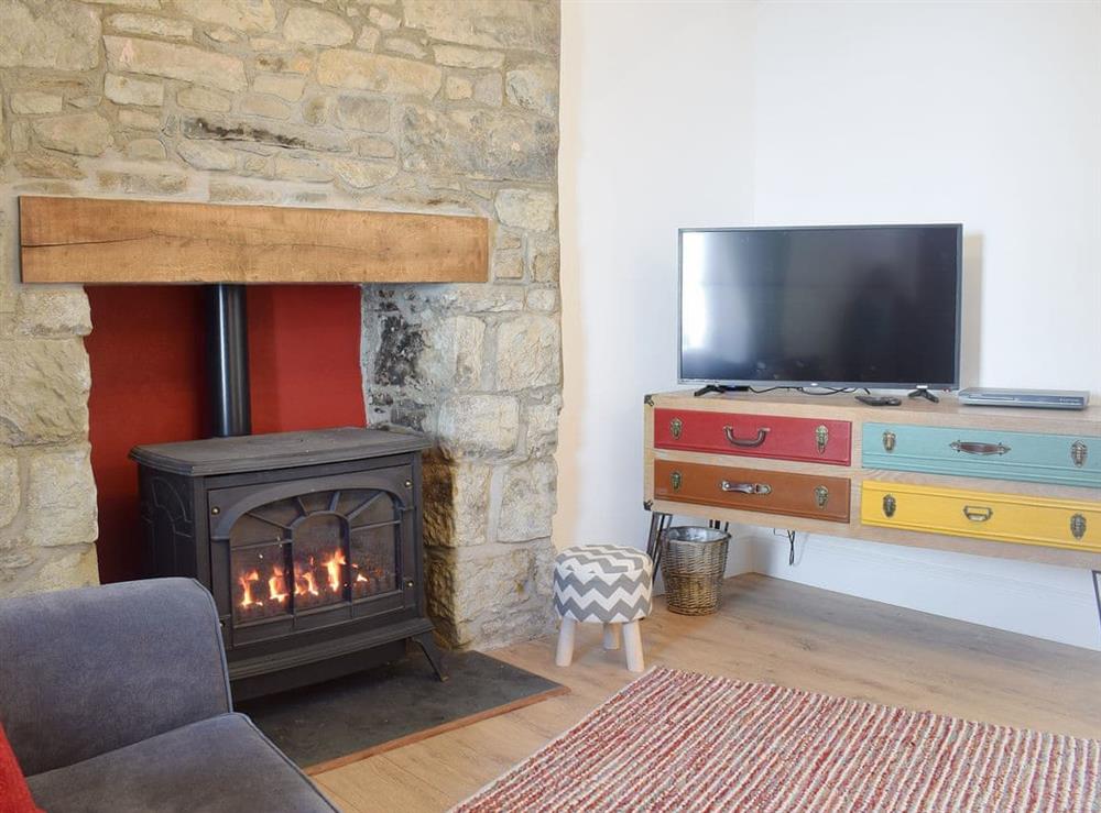 Living area with cosy wood burner at Delfryn in Llanarth, near New Quay, Ceredigion, Dyfed