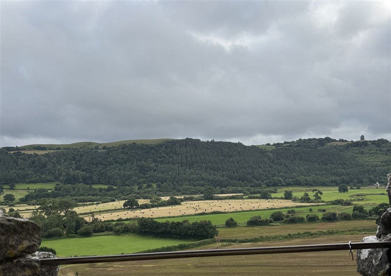 In the area at Delfryn Llandeilo, near Llandeilo