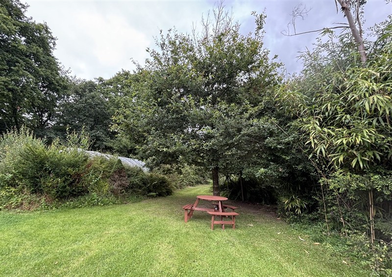 The garden (photo 2) at Delfryn Llandeilo, near Llandeilo