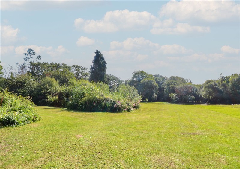 The garden at Delfryn Llandeilo, near Llandeilo