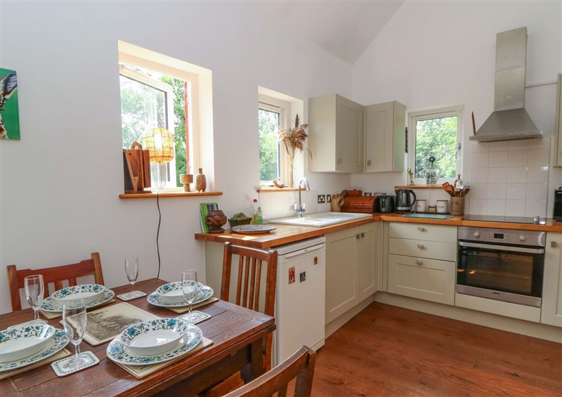 The kitchen at Delfryn Llandeilo, near Llandeilo