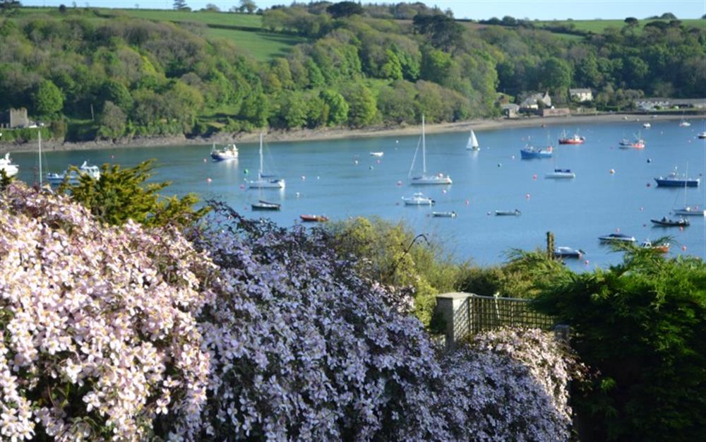 Helford Passage in the spring. at Demelza 1 in Helford Passage