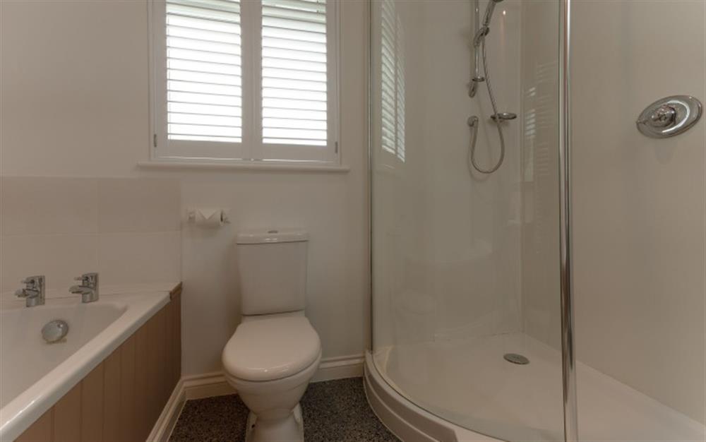 ... or take a hot shower in the walk-in cubicle. at Demelza 3 in Helford Passage