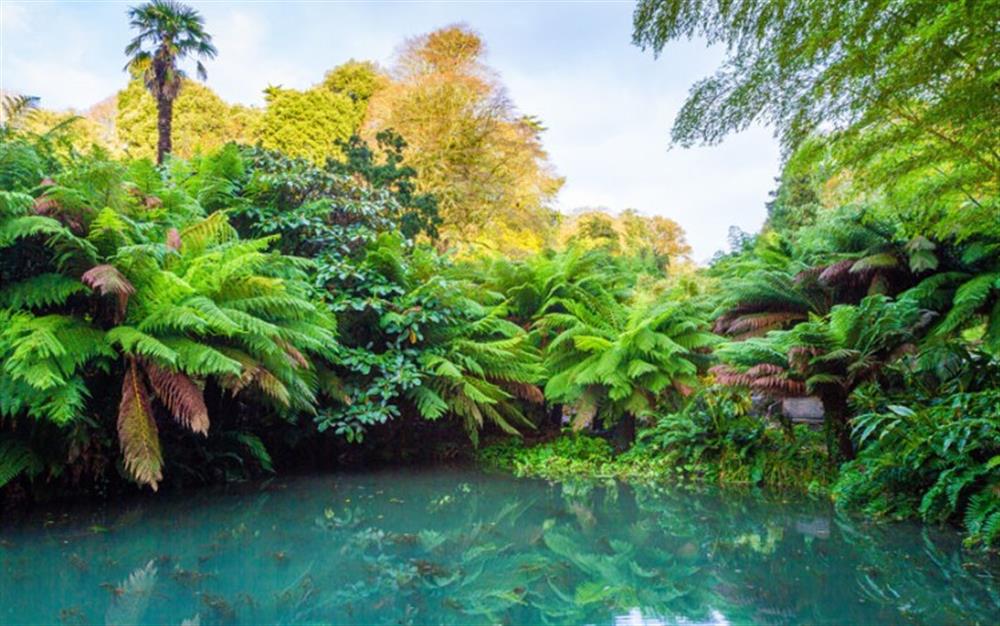Try Trebah for a sub-tropical garden stroll! at Demelza 4 in Helford Passage