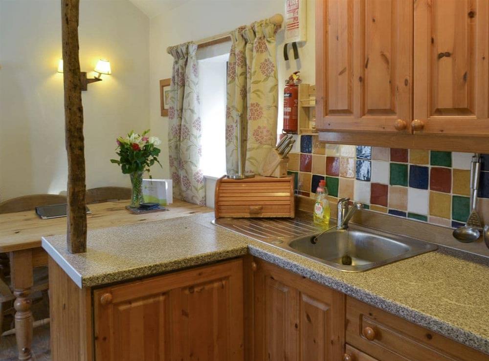 Fully appointed kitchen area at Demelza in Polson, Launceston, Cornwall