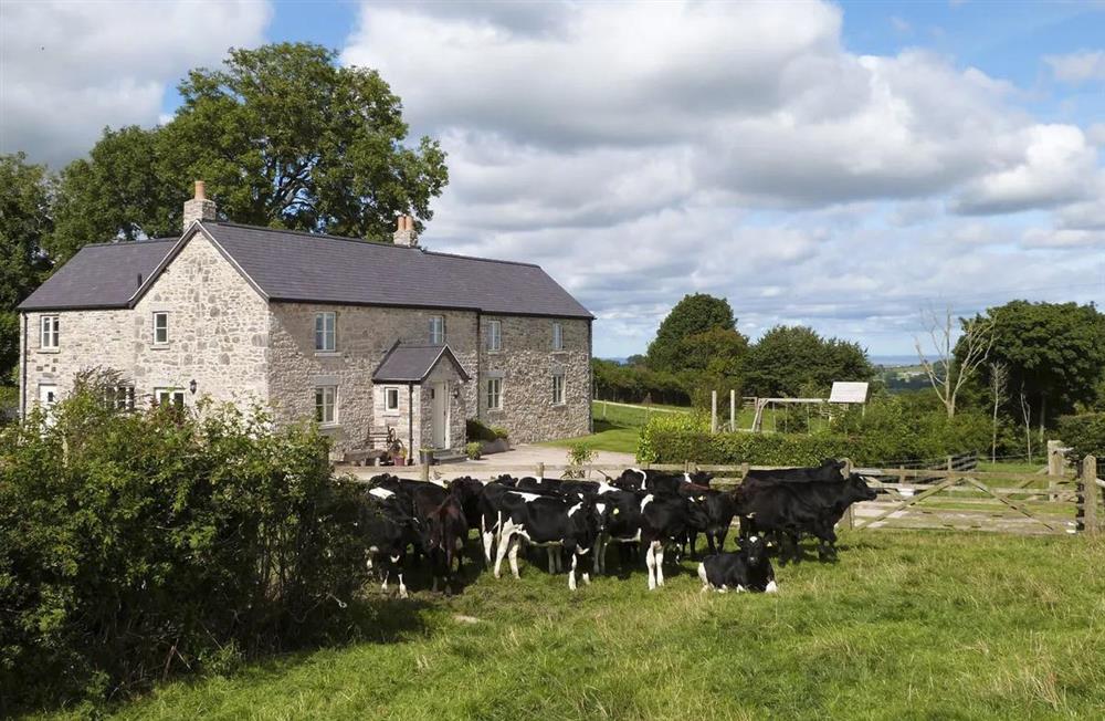 Denbigh Farmhouse (photo 6) at Denbigh Farmhouse in Denbigh, Clwyd