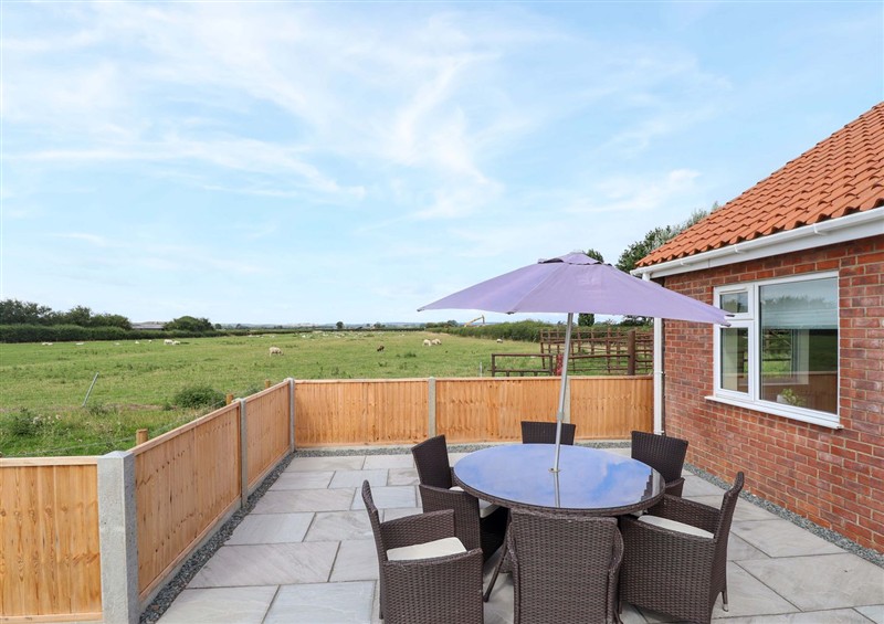 The patio at Denholme, Hogsthorpe