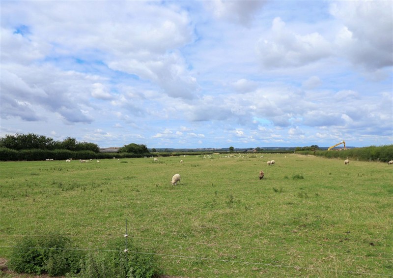 This is the garden at Denholme, Hogsthorpe