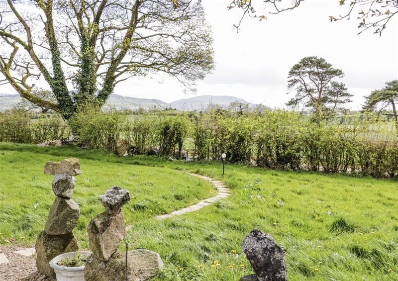 The garden in Derrywilligan at Derrywilligan, Near Newry