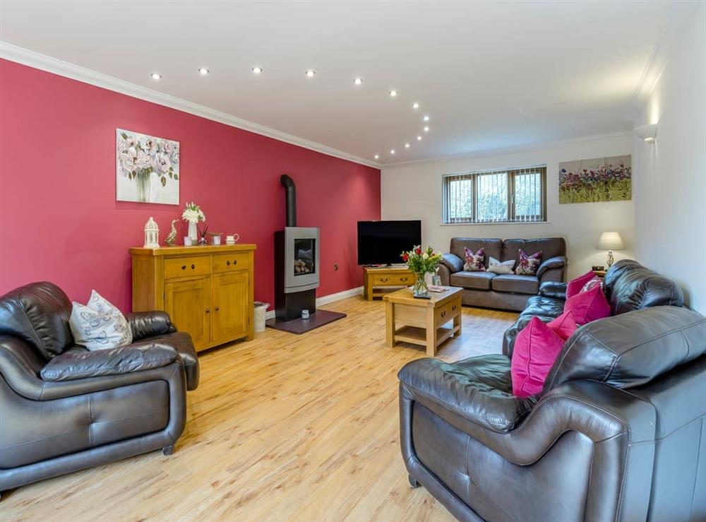 Living room at Derwen Haidd in llanafan/Aberystwyth, Dyfed