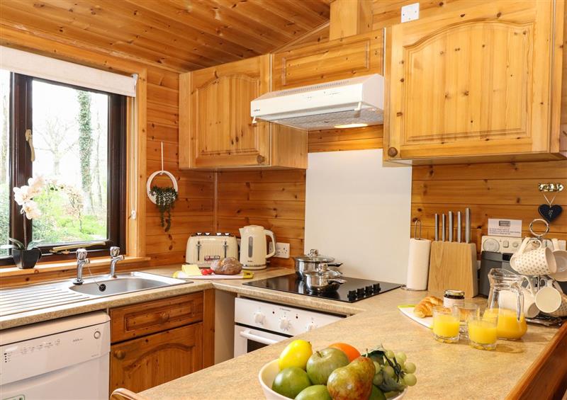 The kitchen (photo 2) at Derwent Lodge, Keswick