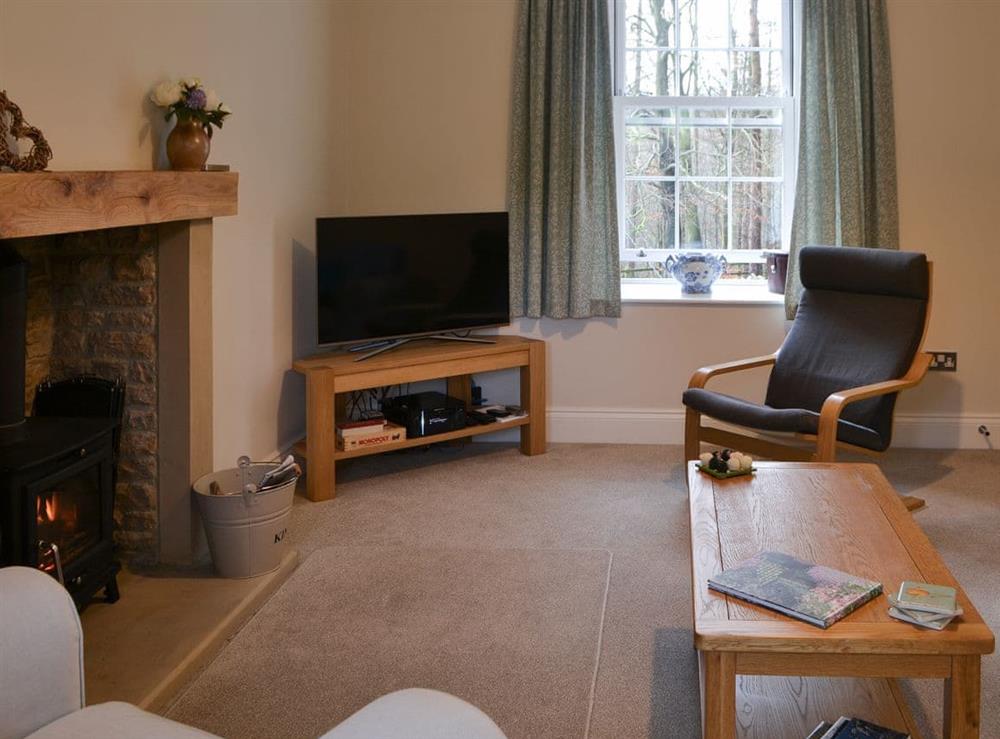 Living room with wood burner (photo 2) at Desmond House in Middleton-In-Teesdale, Durham