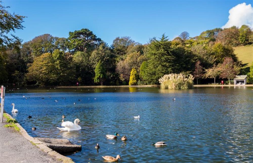 Helston Boating Lake