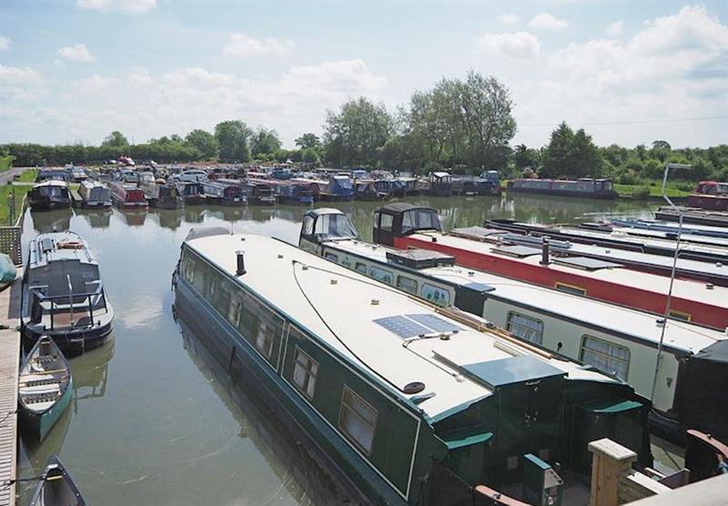 The park setting at Devizes Marina Lodges in Devizes, Wiltshire