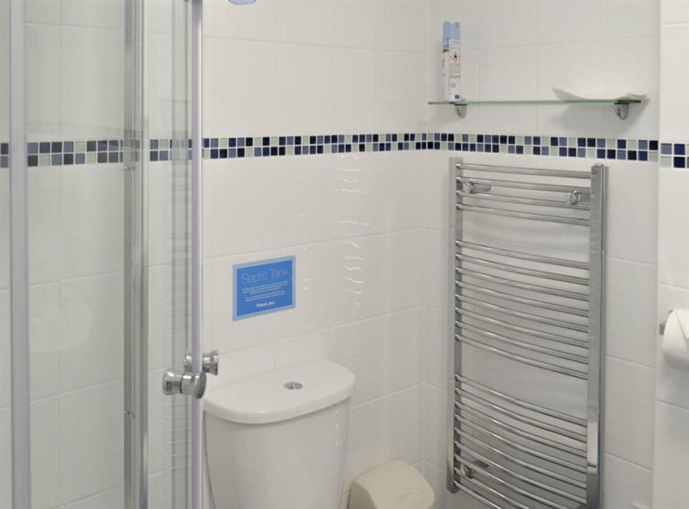 Well-appointed shower room at Ashbury Tor, 