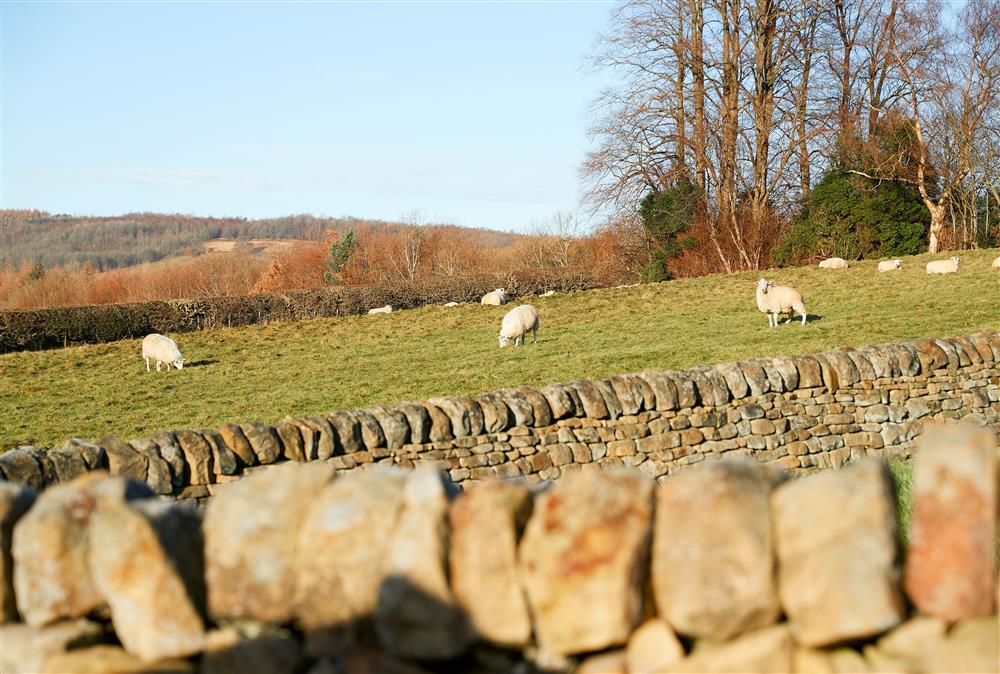 Enjoy the surrounding rural countryside  at Devonshire Cottage, Chatsworth Estate , Beeley 