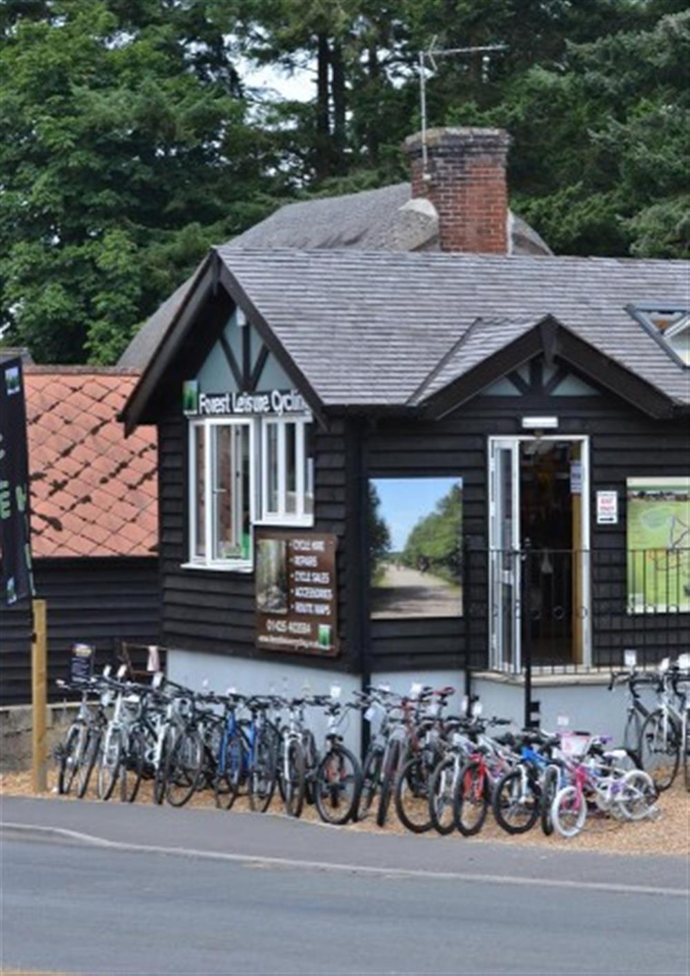 Burley cycle hire at Dial Cottage in Bransgore