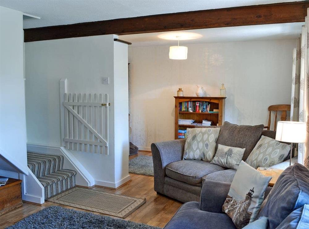 Beautifully presented living room with wood burner (photo 3) at Didfa in Llangoed, near Beaumaris, Gwynedd