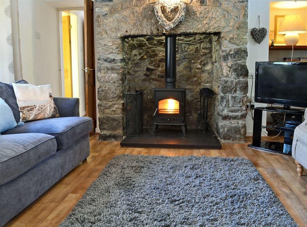 Beautifully presented living room with wood burner at Didfa in Llangoed, near Beaumaris, Gwynedd