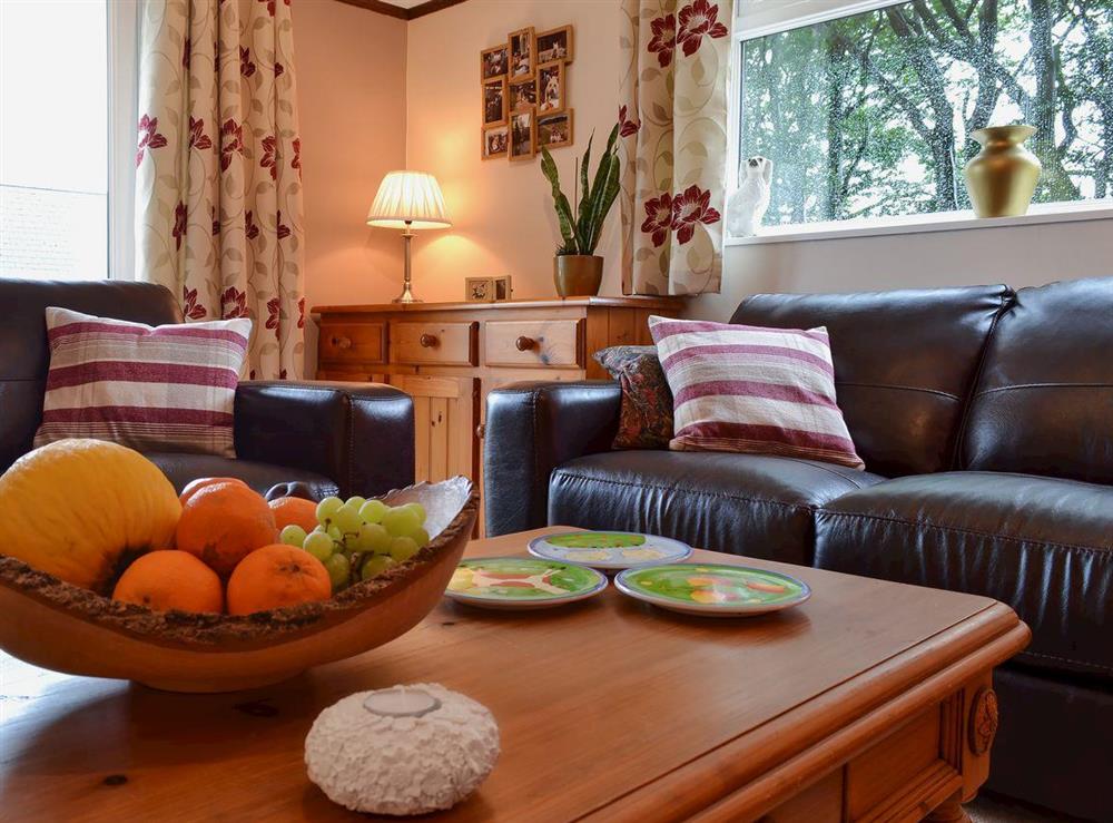 Living room at Dildre in Bwlch-Llan, near Aberaeron, Dyfed
