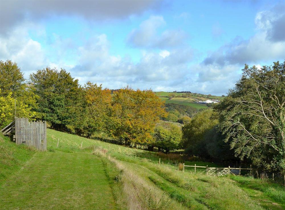 Surrounding area (photo 2) at Dildre in Bwlch-Llan, near Aberaeron, Dyfed