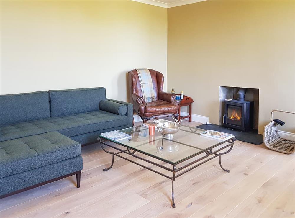 Living room (photo 2) at Dilkusha House in Peebles, Peebleshire
