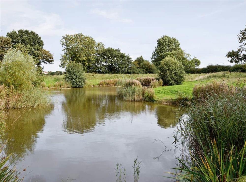 The lake at Dill in Catfield, Norfolk
