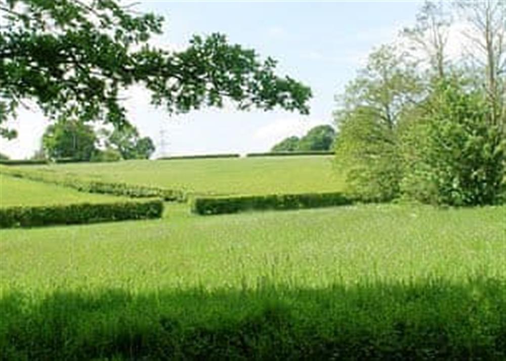 Surrounding area at Dill Hundred in Vines Cross, East Sussex., Great Britain