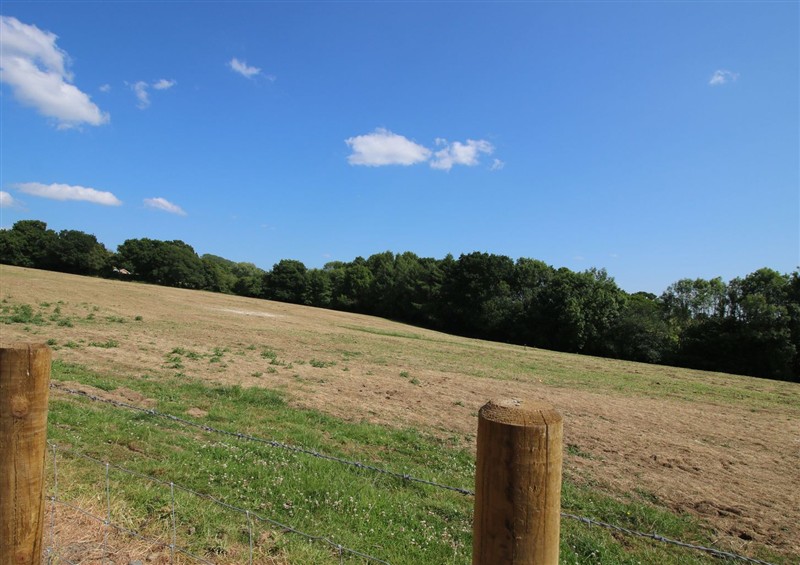 Enjoy the garden (photo 2) at Dingle, Cleobury Mortimer