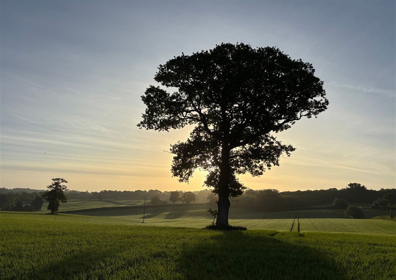 The garden at Dingle, Cleobury Mortimer