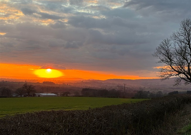 The setting around Dingle at Dingle, Cleobury Mortimer