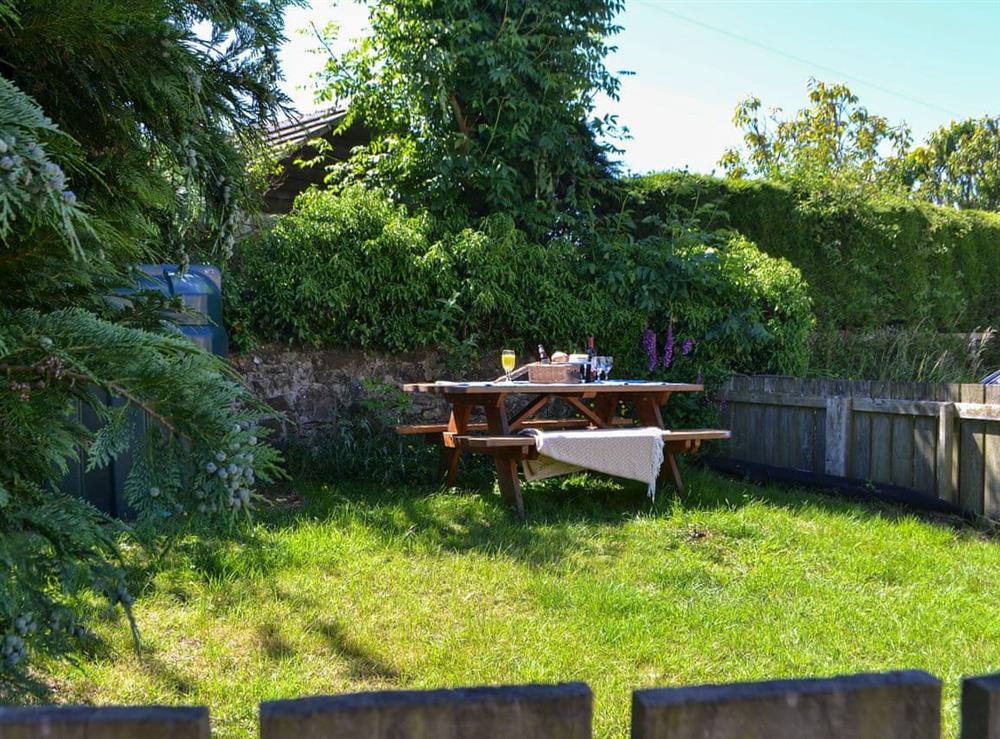 Garden (photo 2) at Dinmont Cottage in Shilbottle, Northumberland