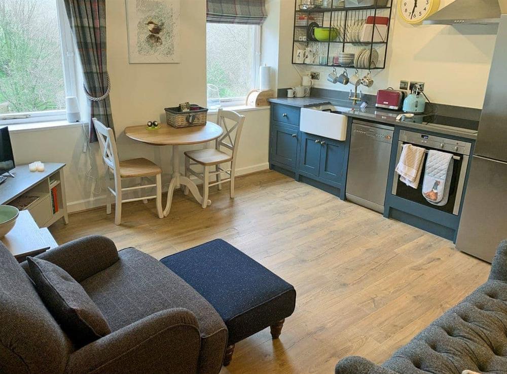 Well presented open plan living space at Dipper in Scalegill Mill, Kirby Malham, North Yorkshire