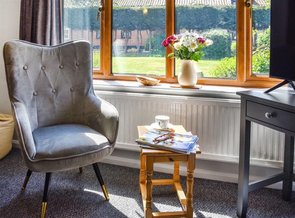 Living area (photo 3) at Dippers in Smallburgh, Norfolk