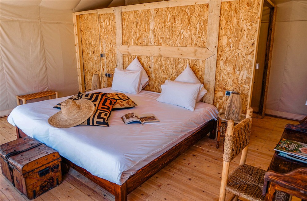 Discovery Tent