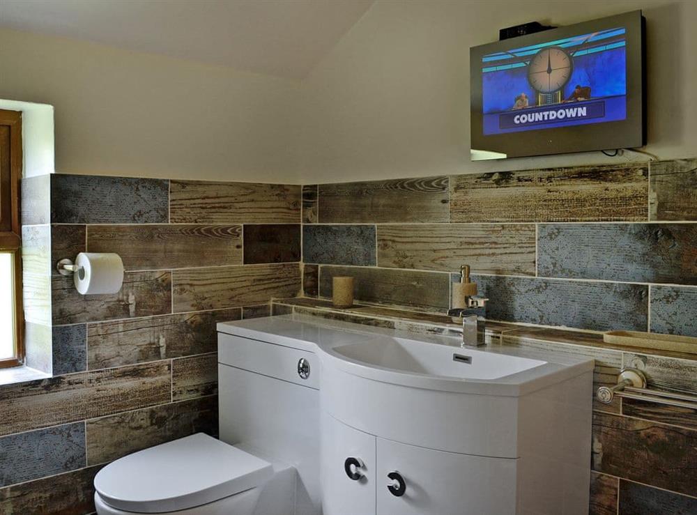 Family bathroom with TV (photo 2) at Grajo Cottage, 