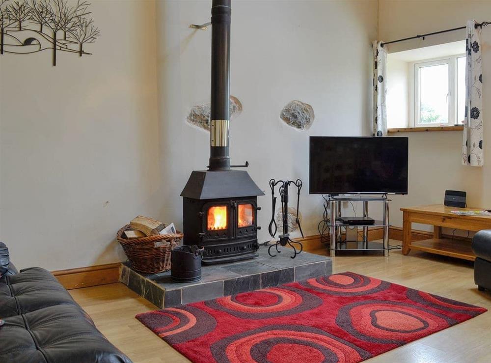 Comfortable living area with a cosy wood burner at Dol Afon in Bala, Gwynedd