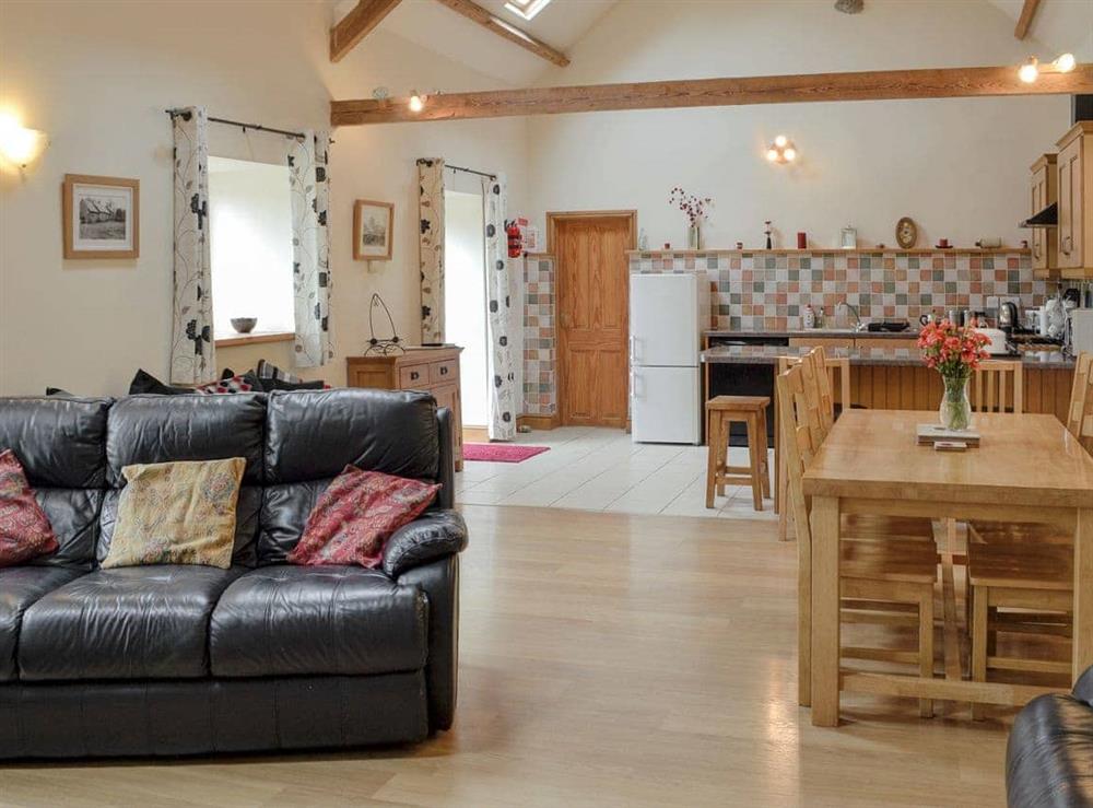 Spacious, well furnished open plan living space at Dol Afon in Bala, Gwynedd
