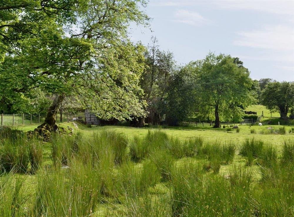 Surrounding area at Dol Afon in Bala, Gwynedd