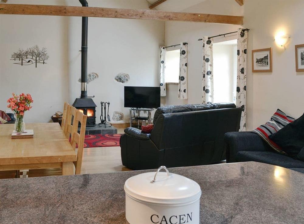 Well presented open plan living spce at Dol Afon in Bala, Gwynedd