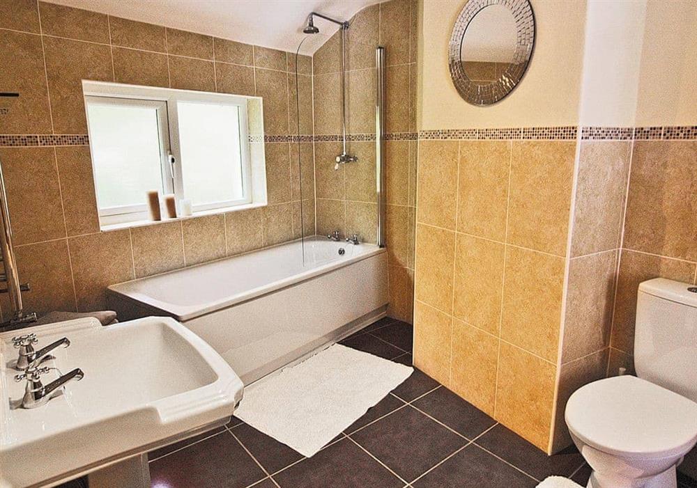 Bathroom at Dol Llan in Llandysul, Dyfed