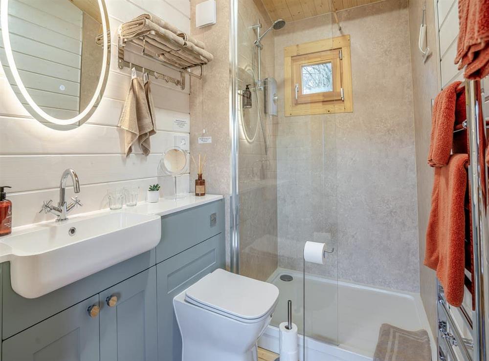 Bathroom at Dol Werdd Lodge in Garnant Ammanford, Dyfed
