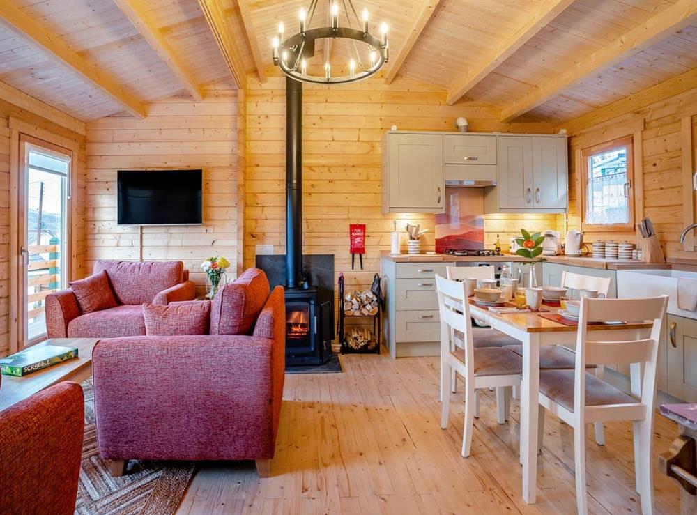 Open plan living space at Dol Werdd Lodge in Garnant Ammanford, Dyfed
