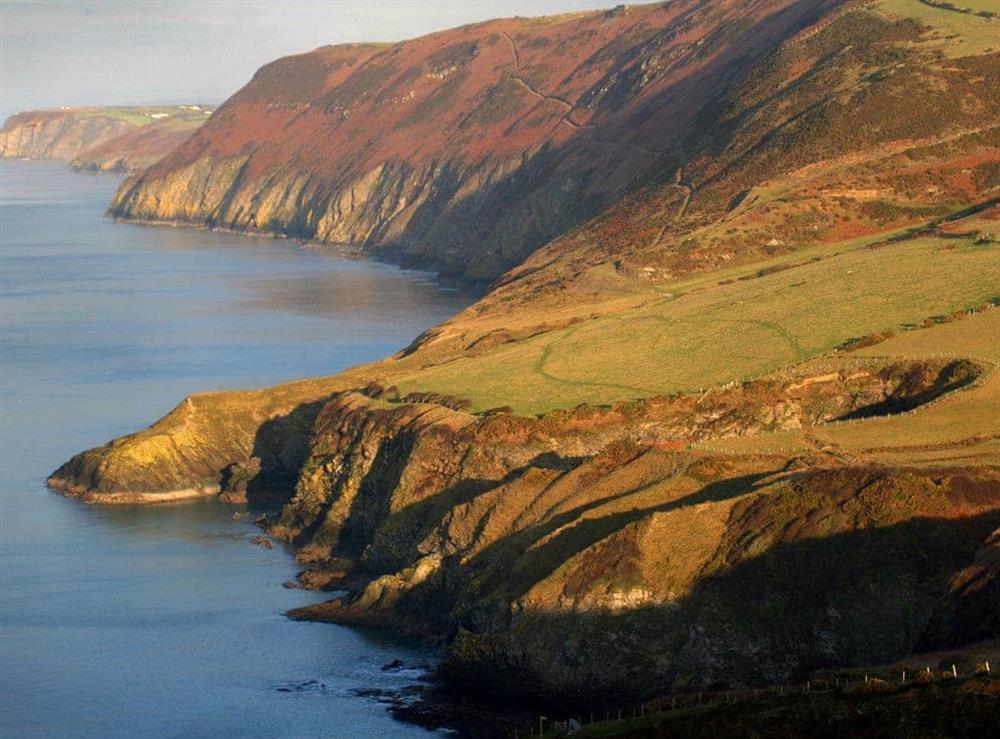 Coastal Path Ceredigion Cardigan Bay, Wales