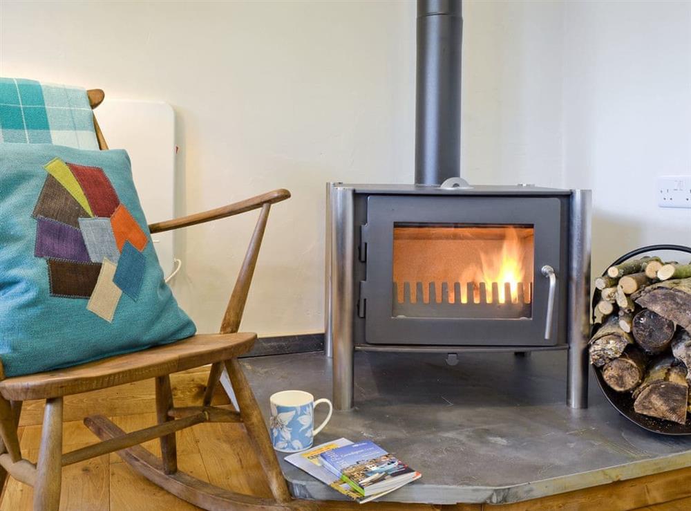 Warming wood-burner at Snuggle Cottage, 