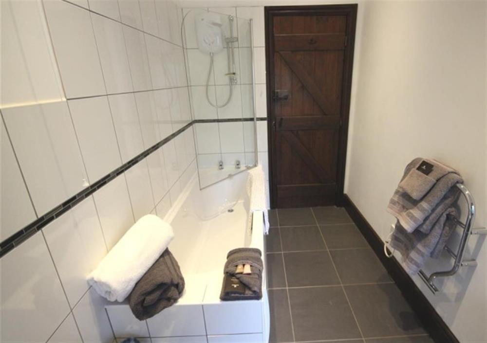 Family bathroom continued at Dolittles Den in Bodmin Moor