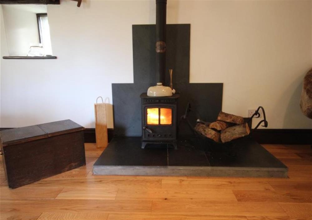 Feature wood burner at Dolittles Den in Bodmin Moor